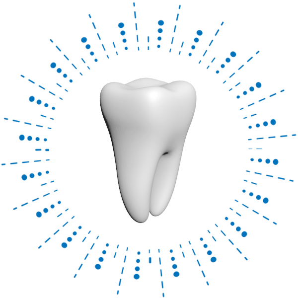 tooth
